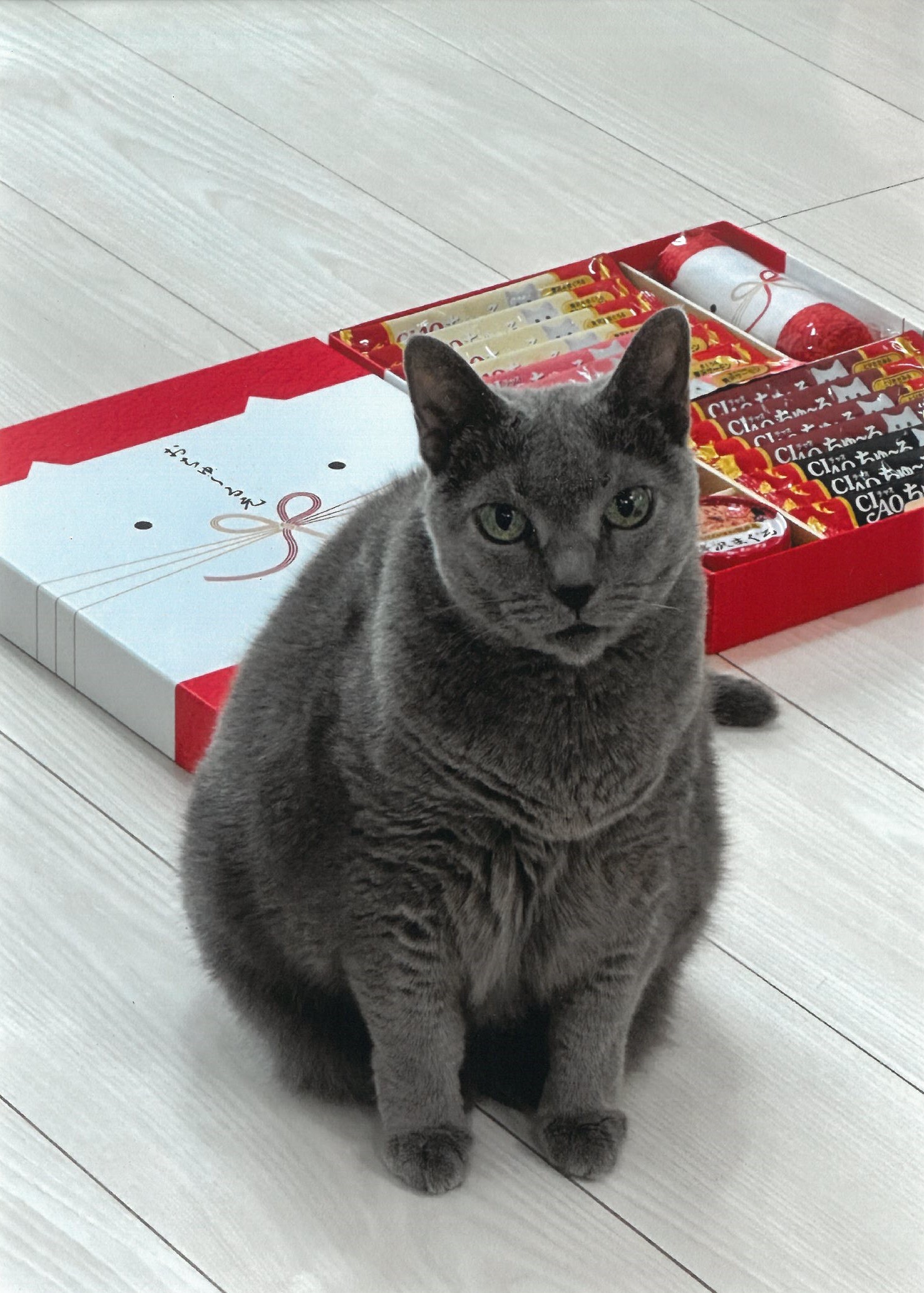 グッズ | 大佛次郎記念館
