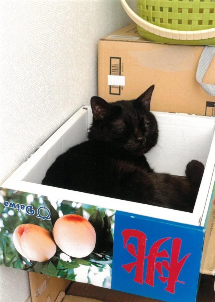 29 故郷の特産品だにゃ(Orimuh)