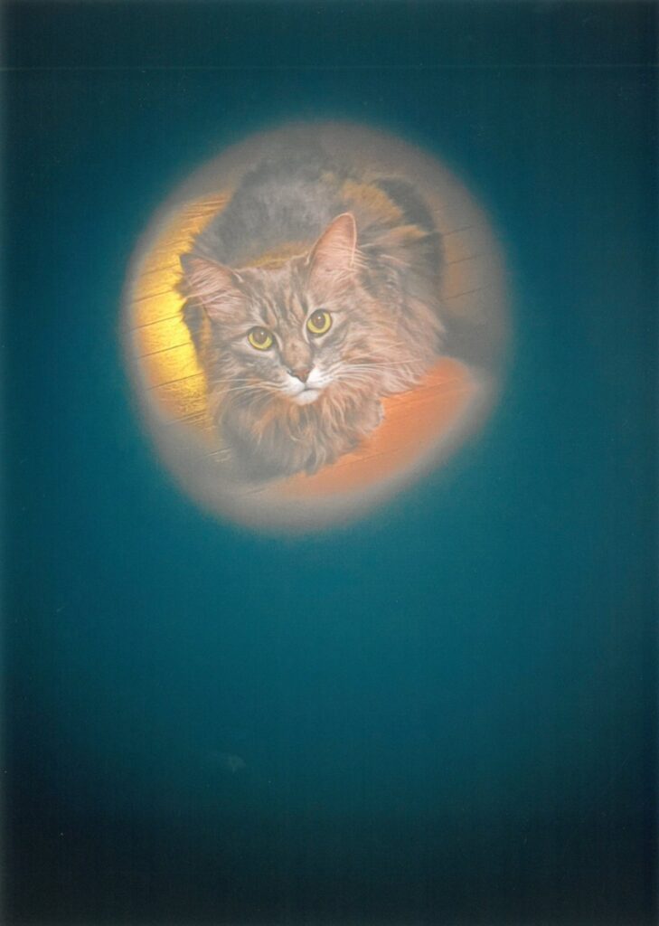 222 月には猫がいる(ショコラ善哉)