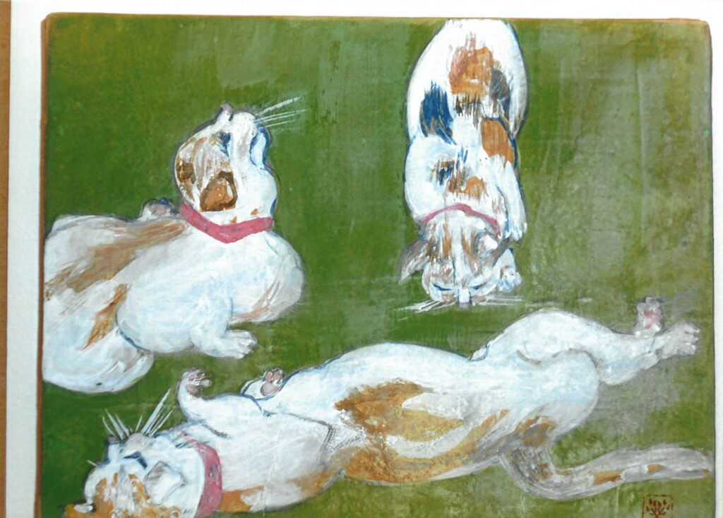 245 目も開かない捨ネコが我家で百才になる。(ミーちゃん)