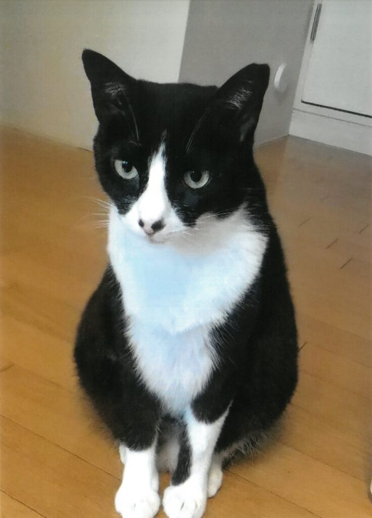 25 すわる姿がかわいい(Bee)