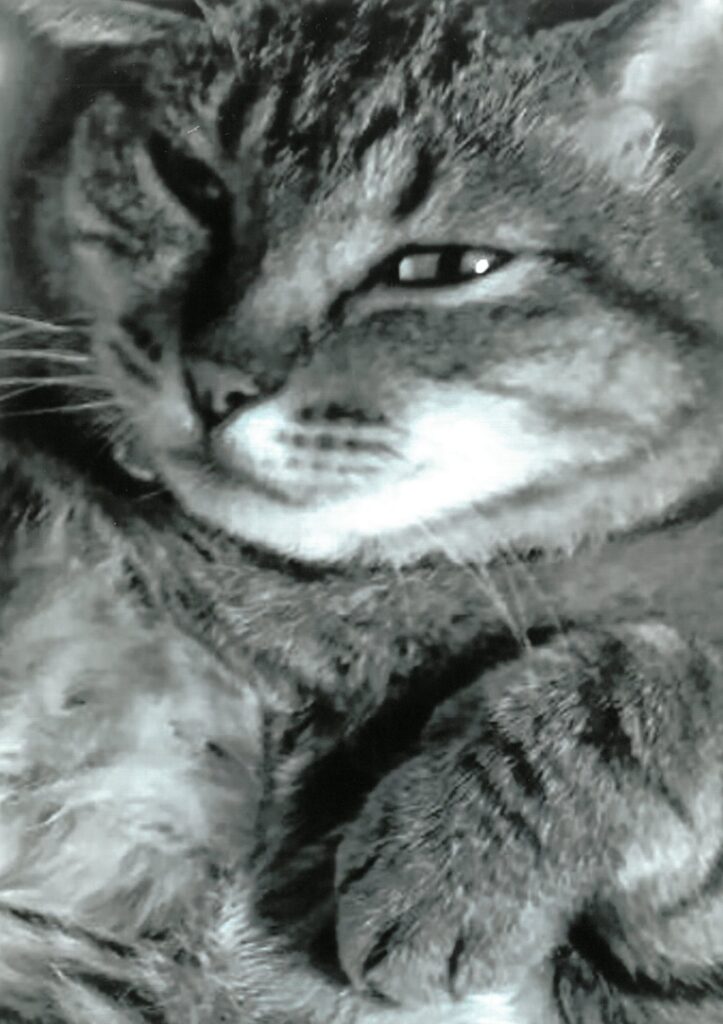 228 かわいく撮って!(Mei)