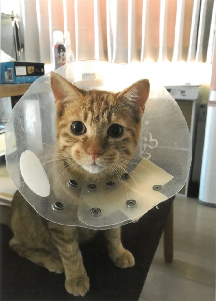 234 動きづらくても、へっちゃらさ(ヤンチャ君)