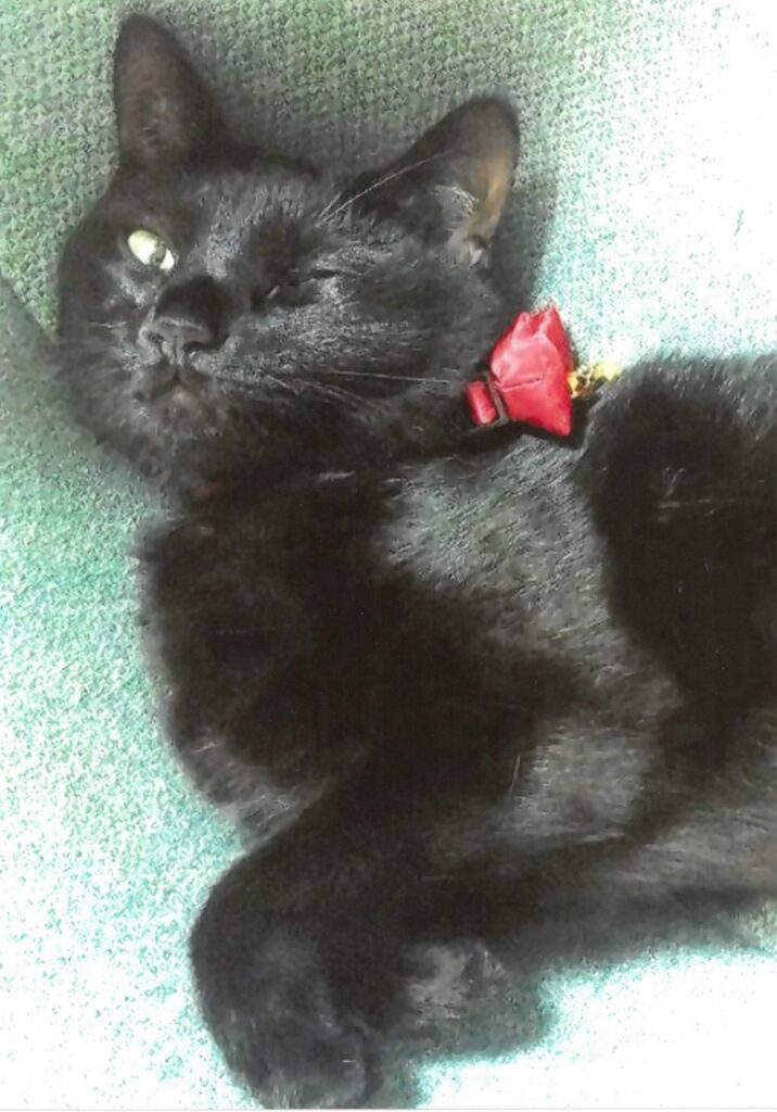 18 ウインク練習中(杉浦孝昌)