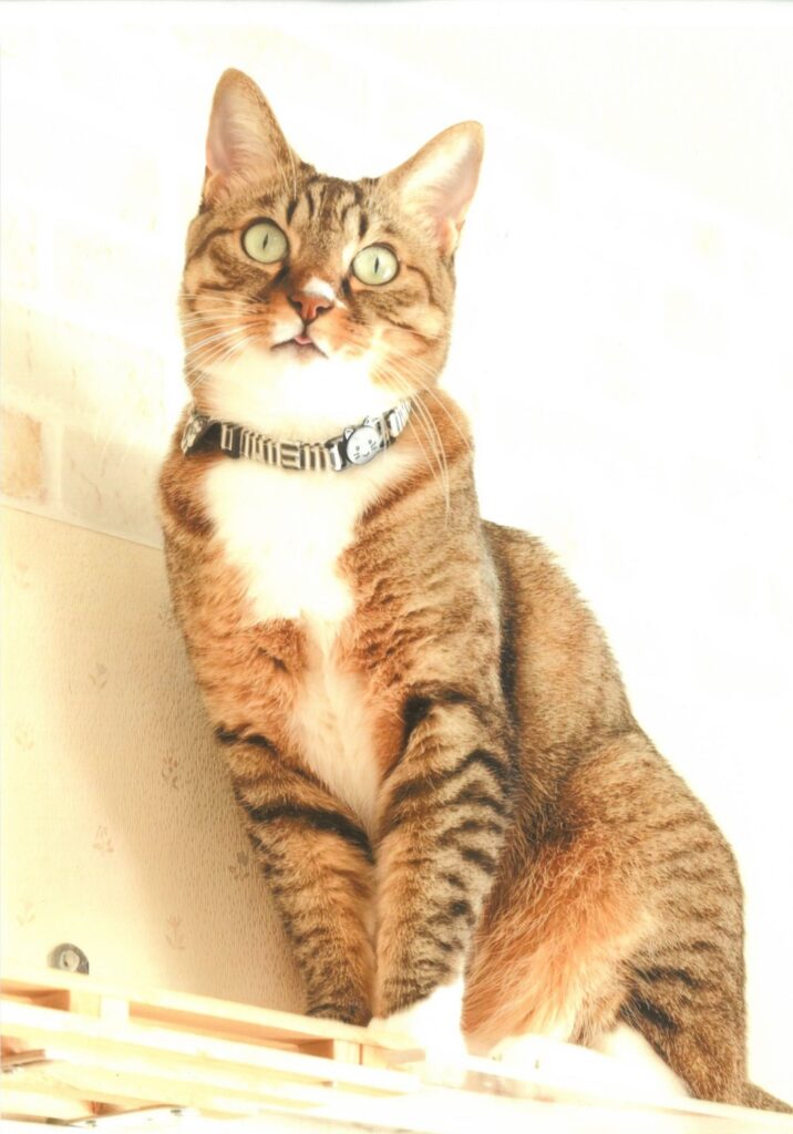 ５ あっかんべー!!(なこなな)