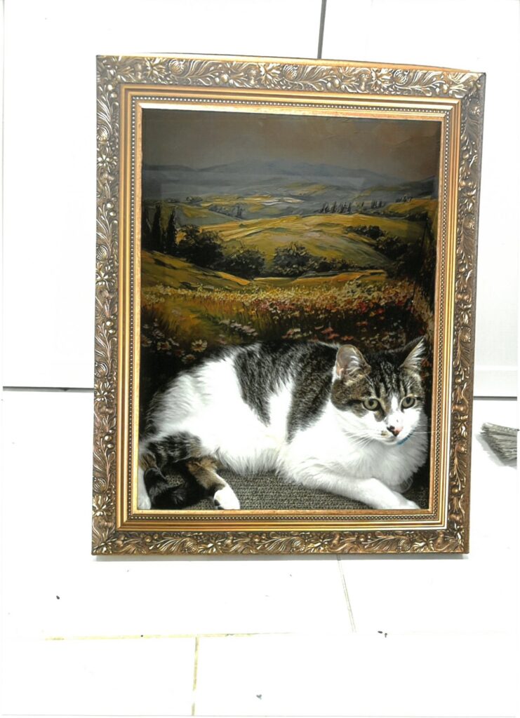 266 ニャーティスト(河井沙也)