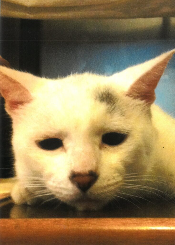 268 じ～～～、、、(ごろう)