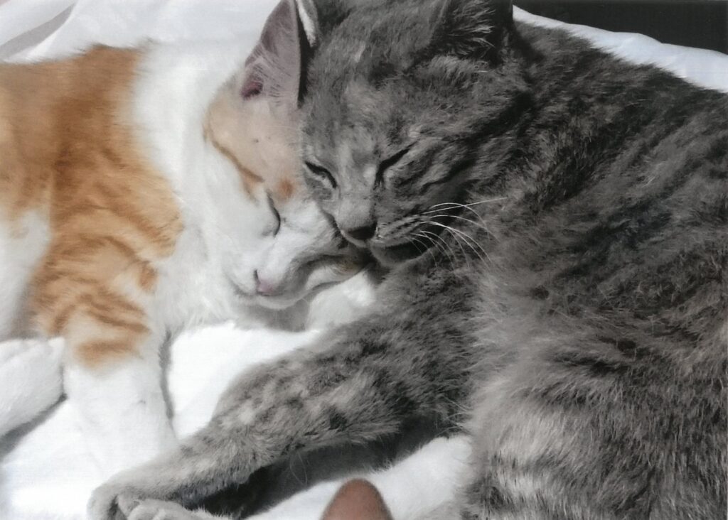 210 親子水入らず。(まりもみじ)