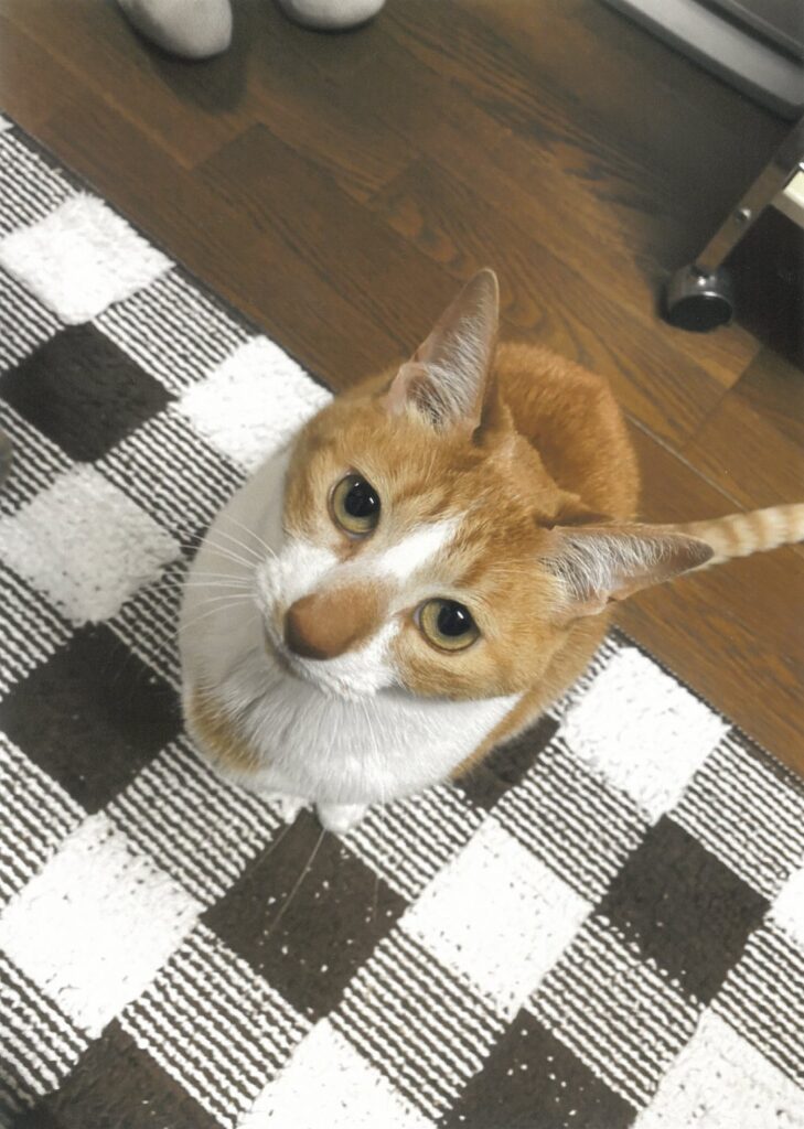 110 アタチってカワイイでしょ？(みちやん)