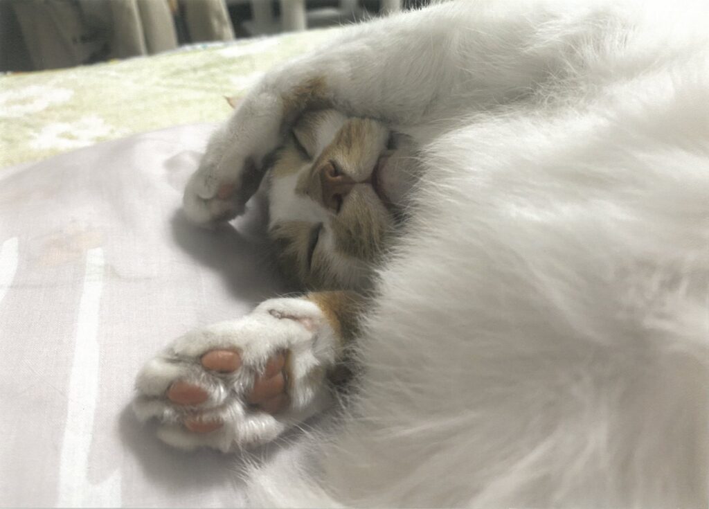 109 ば～んざ～い!(みちやん)