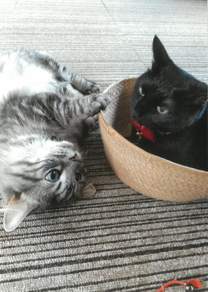 17 ボクもはいるー!使用中よ!!(杉浦奈緒美)