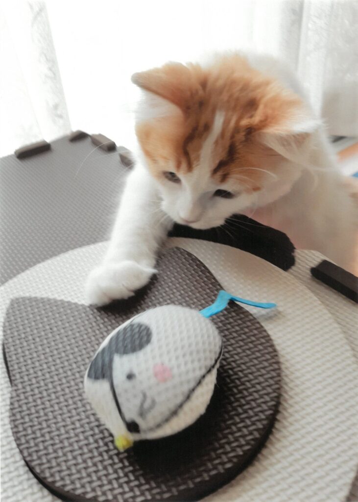 31 おそるおそる。。。(のぶっさん)