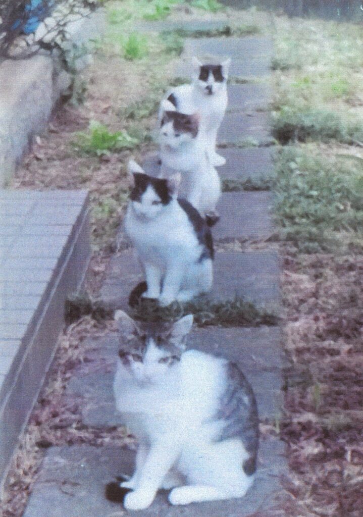 258 自宅の玄関前で「整列」(リチャード)