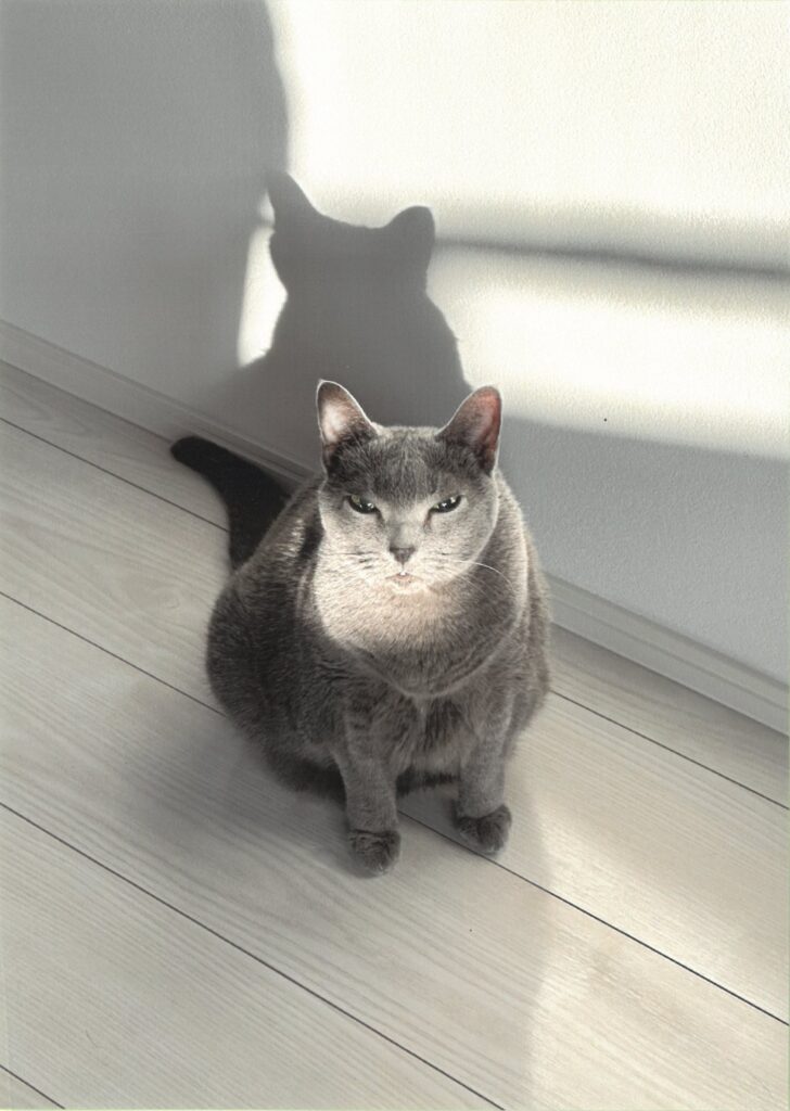 248 私18歳!朝日は私のスポットライト☺(ななちゃん3号)