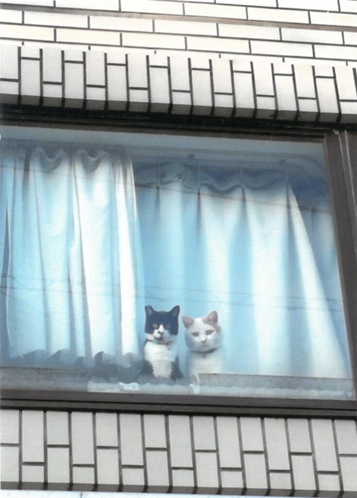 21 高い所から失礼しまぁす。(そば屋のてんさん)