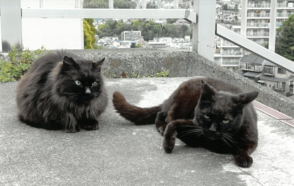 22 「授業、だるいな」「それな」(ちぇりー)