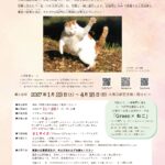 募集チラシ2027表