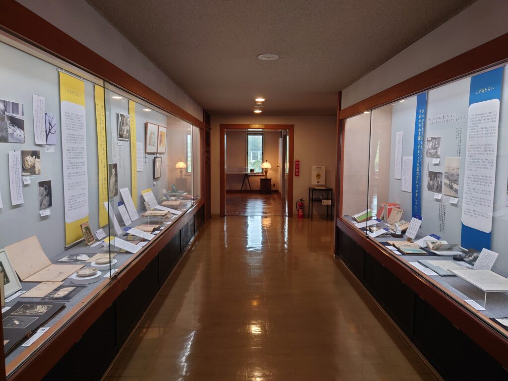 テーマ展示Ⅱ「猫へのまなざし、こどものおはなし展」全景