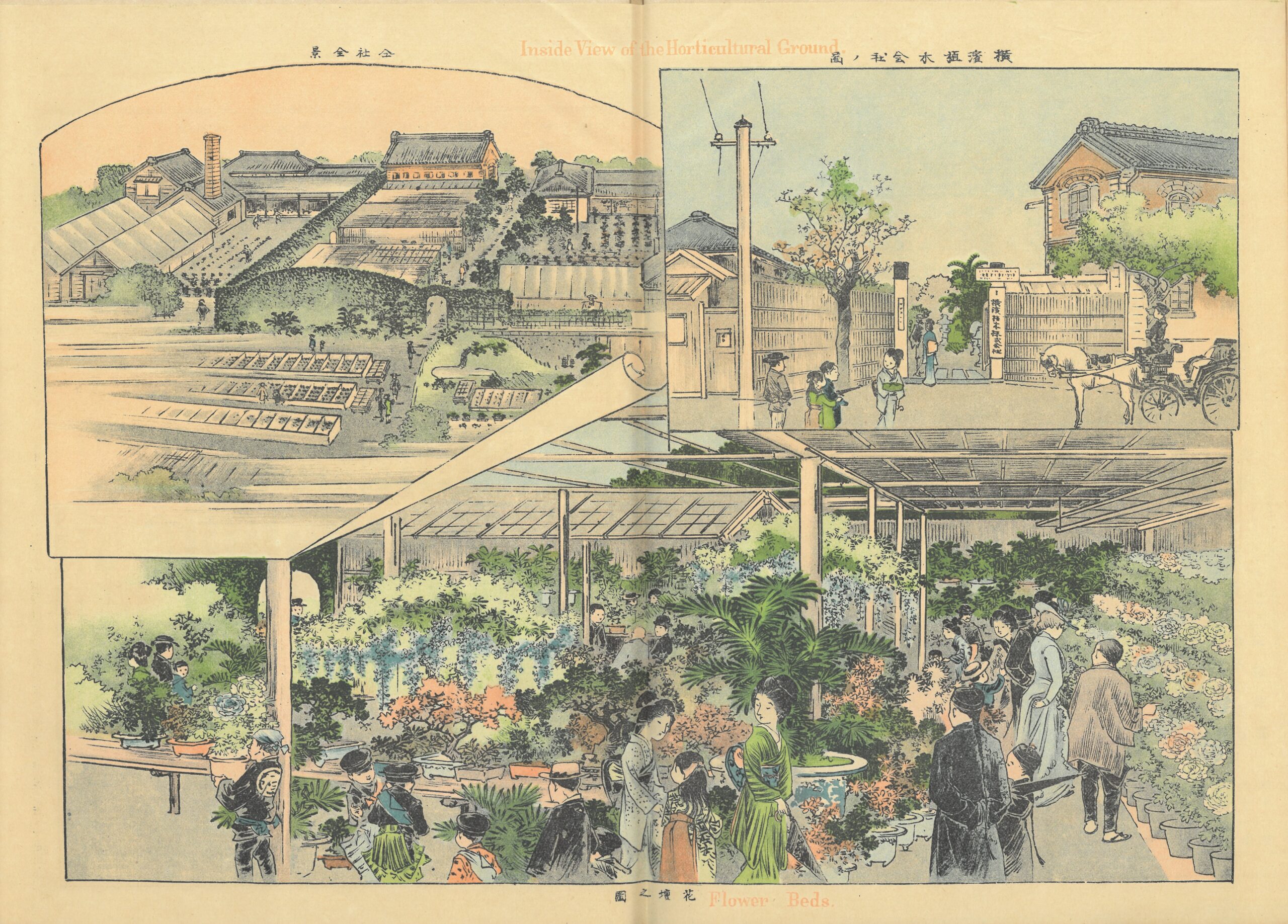 「横浜名所図会」より《横浜植木会社の図》