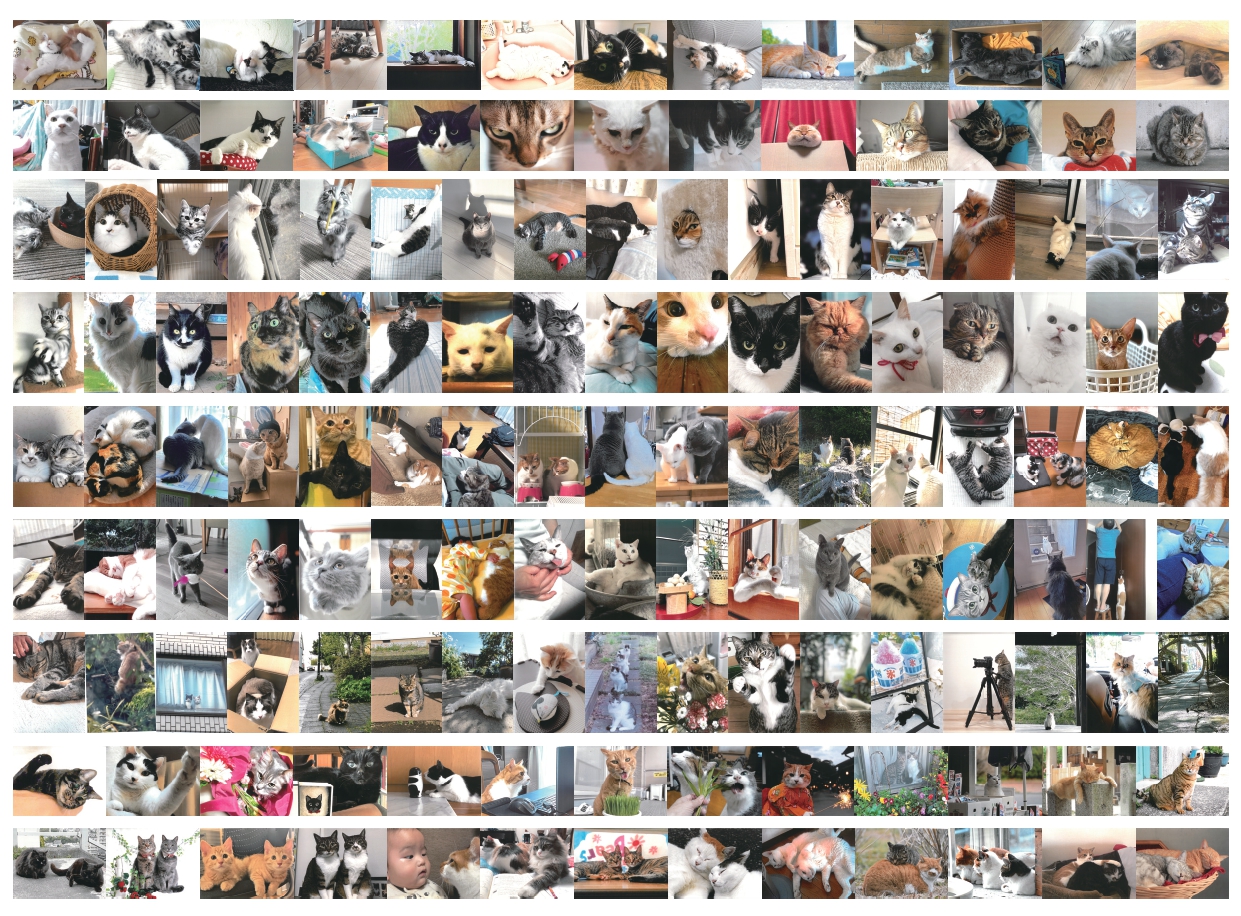 大佛次郎×ねこ写真展2026　応募作品
